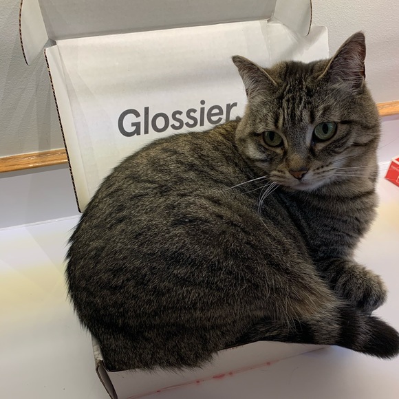 Meet your Posher, Kim - Picture 2 of 2